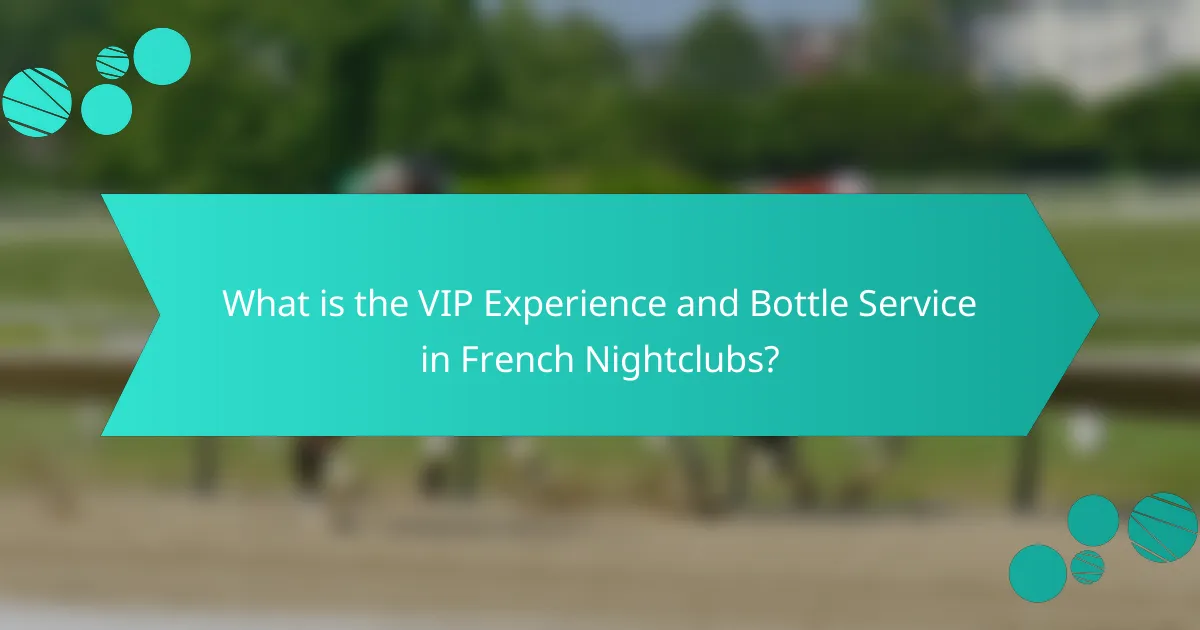 What is the VIP Experience and Bottle Service in French Nightclubs?